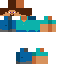 Texture for Steve