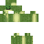 Texture for frog2