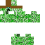 Texture for creeper steve