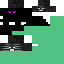 Texture for Ender Whither