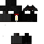 Texture for ss