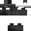 Texture for custom1