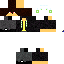 Texture for Reverse_leo
