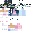 Texture for fh