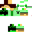 Texture for DOGE