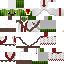 Texture for nicapi 2.0