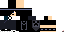Texture for Steve
