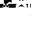 Texture for Mog Cabeça