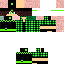 Texture for Steve