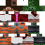 Texture for david