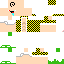 Texture for Retarded con Swag