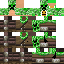 Texture for coolguy2