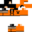 Texture for Dynastar