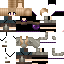 Texture for SkySoar11