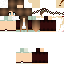 Texture for nicollisdfs