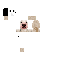 Texture for teste do joão cão