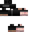 Texture for Stealth Rider