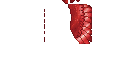 Texture for red bird elytra