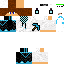 Texture for  SaePL