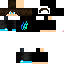 Texture for prestoniman