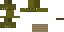 Texture for trtle