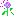 Texture for allium