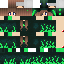Texture for ImVeltrex