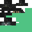 Texture for Super Wither