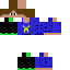 Texture for Polaris