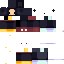 Texture for LitFqm