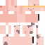 Texture for dasyuri piggeto