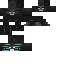 Texture for updated wither skin