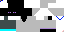 Texture for HG