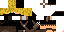 Texture for ninja