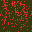 Texture for radek