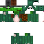 Texture for tortoise 