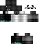 Texture for Sg