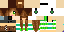 Texture for MER