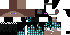 Texture for End3r