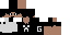 Texture for ender_striker