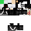 Texture for 1312