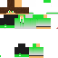 Texture for proboy2000