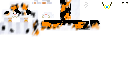 Texture for gg