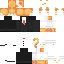 Texture for GINGER_CAT2