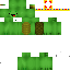 Texture for mikey_turtle