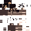 Texture for AoiWinter