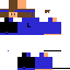 Texture for Robin