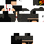 Texture for Mich