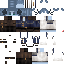 Texture for Sylvester