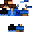 Texture for nikko